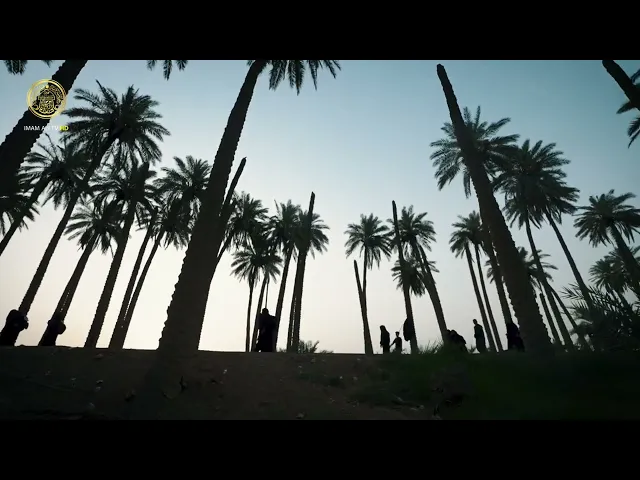 ⁣شامخون كما النخيل سائرون إلى مرقد أبي الأحرار الإمام الحسين (عليه السلام)