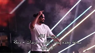 يوسف الملك    ساعة وحدة بنص الليل   دبكة البعلبكية   يم شعر تلت شبار   حفلات لبنان         دندنها