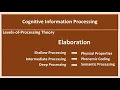 Cognitive Information Processing Part 1