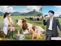 Download Lagu CEO ปฏิเสธหญิงสาวถึง 999 คน แต่กลับรักแรกพบกับสาวจนที่ทุ่มเงินสุดท้ายช่วยสัตว์จรจัด! ชะตาเปลี่ยน!