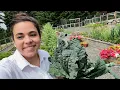 Download Lagu WE GOT the CHICKS!! Full June Garden Tour and Chicken Coop, Bee Update!