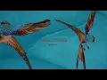 Omeria - True Colors (Cafe De Anatolia)