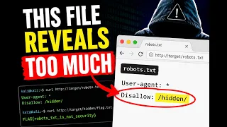 Hackers Check This Website File Here s Why
