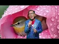 Download Lagu SETULUS HATIMU SEMURNI CINTAMU - ARIE KOESMIRAN //  Ancoel Rizalo (COVER)