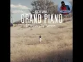Download Lagu Nicki Minaj - Grand Piano_(DjWadeySa Remix)2024