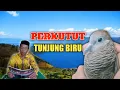 Download Lagu Katuranggan Perkutut Tunjung Biru