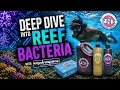 Deep Dive into Reef Bacteria with hydrospace