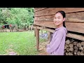 Download Lagu น้องปีใหม่กับค่าสินสอด10ล้านงัวหนื่งตัว​ 28 มิถุนายน ค.ศ. 2025