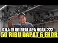 Download Lagu BAHAYA ! KIOS MANTO MEMANAS !!! POKSAY HONGKONG DIJUAL SEMURAH INI DIKIOS PASAR BURUNG PRAMUKA