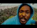 Anthony B - Ganja Fi Bun