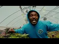 Download Lagu Anthony B - Ganja Fi Bun