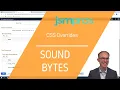 PeopleTools Sound Bytes Episode 35 Overriding Oracle CSS the Right Way