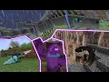 Tame These New Amazing Dragons In Minecraft
