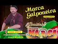 Download Lagu MARCA GALPONEIRA (Schmittinho \u0026 Grupo Marca) Inédita 2018