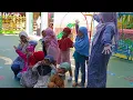 Download Lagu (Cover) Sherina-Kembali Ke Sekolah