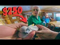 Estate Sale lady had NO IDEA what they had