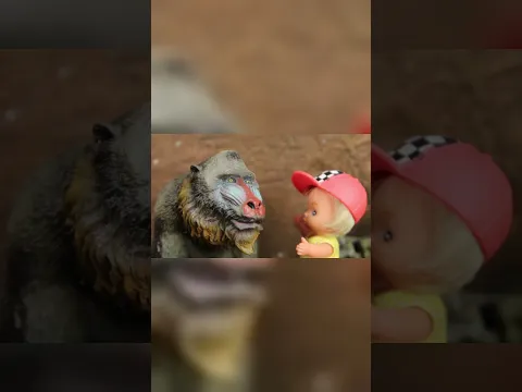 Un bebé y un mono se hacen mejores amigos en el zoo 🐒💛 Los Juguetes de Luna