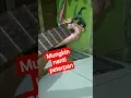 Download Lagu mungkin nanti chord asli peterpan #shorts