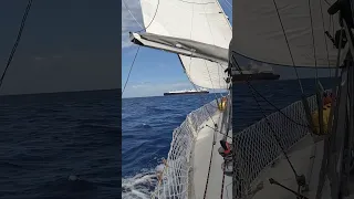 Calm sail to the #Abacos!  #eleuthera #liveaboard