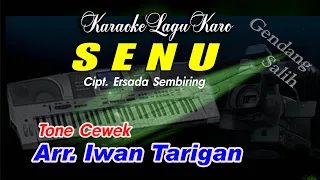 Download Karaoke Lagu Karo Senu Tone Cewek MP3