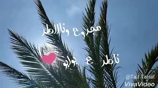 قلبي ع غيابو   ردو حبيبي   اجمل اغاني ملحم زين دندنها