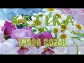 KETIKA  -  Indra Gozal