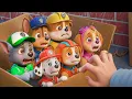 Lagu OMG… Pups Patrol is Abandoned!? What Happened? Can Them Adopted ? | Paw Patrol 3D Animation 