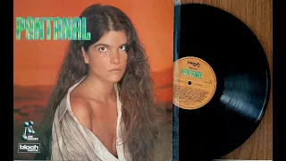 Pantanal - 1990