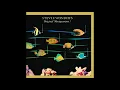 Stevie Wonder - Living For The City (2000 Remastered)