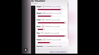 Body Visualizer TikTok Meme