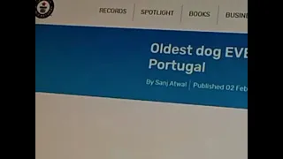 Bobi from Portugal is now the NEW world's oldest dog!