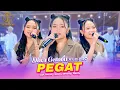 Lagu PEGAT - DHEA GEMOII X LD PRO (OFFICIAL LIVE MUSIC VIDEO)