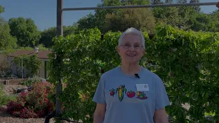 Straw Bale Gardening Part 1 - Preparing the Bales