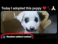 Download Lagu all of r/quityourbulls**t