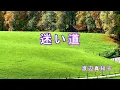 迷い道  / 渡辺真知子 (歌詞入り)