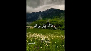 وما لنا ألا نتوكل على الله سورة إبراهيم الثارئ مشاري راشد العفاسي قرءان أجر Nada Shorts Fyp 