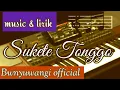 Download Lagu SUKETE TONGGO - KARAOKE OFFICIAL ( Banyuwangi ) instrumen terbaru korg pa 1000 versional