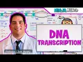 Download Lagu Cell Biology | DNA Transcription 🧬