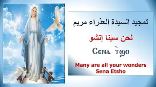 لحن سينا إتشو يقال في تمجيد السيدة العذراء   معلم مجدي بخيت           دندنها