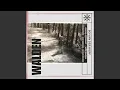 Download Lagu walden
