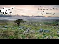 Download Lagu Tors - Colour In The Ordinary