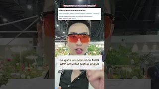 เบอร์เบอรีนช่วยเรื่องหินปูนในหลอดเลือดแดงได้อย่างไร   และมีงานวิจัยรองรับหรือไม่