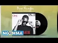 Download Lagu One The Incredible Feat Maulo - Pure Number (Official Audio)
