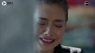 معقول نتقابل تاني   هاني شاكر   كمال و نيهان دندنها