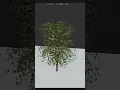 Blender Tutorial Day - Sapling Tree Generator Addon