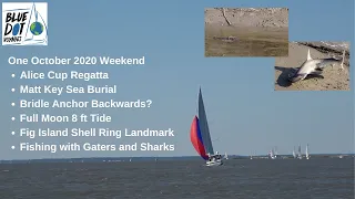 Alice Cup Regatta, Matt Key Sea Burial, Gater, Fig Island, Anchor-Bridle issues-October2020-EP48