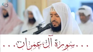 سورة آل عمران تلاوة خاشعة القارئ وديع اليمني 