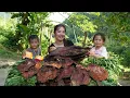 Download Lagu Harvesting water spinach and dried fish to sell at the market - picking up my daughter from school