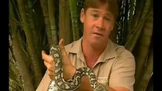 Steve Irwin s Wildest Animal Encounters Part 1