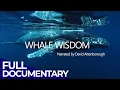 Whale Wisdom - Narrated by David Attenborough FD Ocean